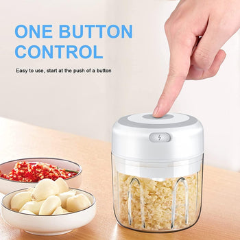 Electric Mini Food Chopper 300ML