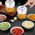 Electric Mini Food Chopper 300ML